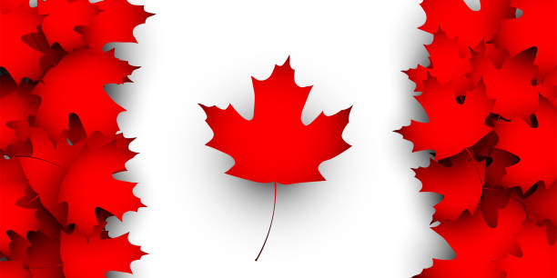 flaga kanady koncepcja projektu - canadian flag canada flag maple leaf stock illustrations