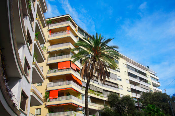 istock Elegant palm tree in front of high building 1069264394