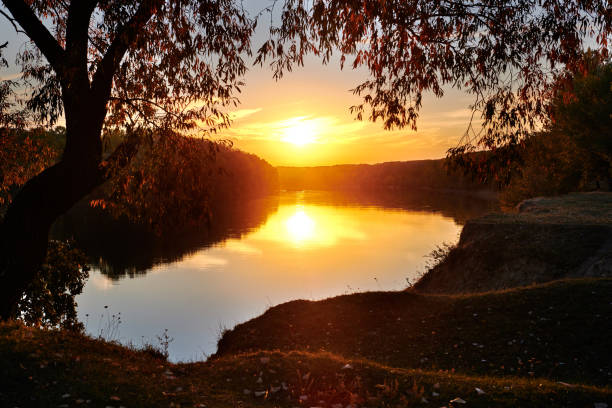 autumn landscape - forest and beautiful trees near the river, bright sunlight at sunset, fall season