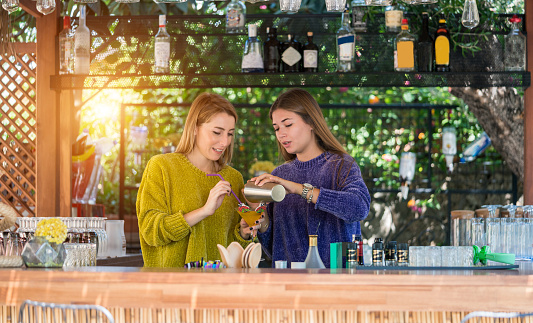 Pretty happy young women preparing cocktail at bar