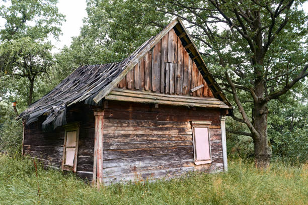 istock old wooden house in the forest 1069276010