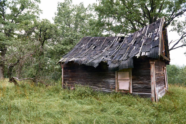 istock old wooden house in the forest 1069276674