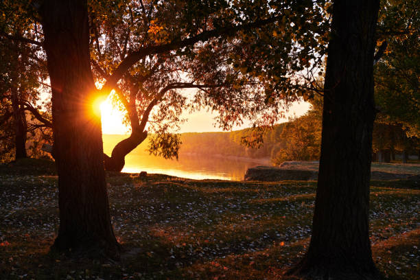 Lake and sunset with vibrant fall colors