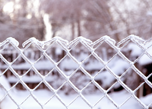 Icy fence made of metal mesh on the background of snow-covered forest. White snow and snowflakes. Rural place. Frosty day