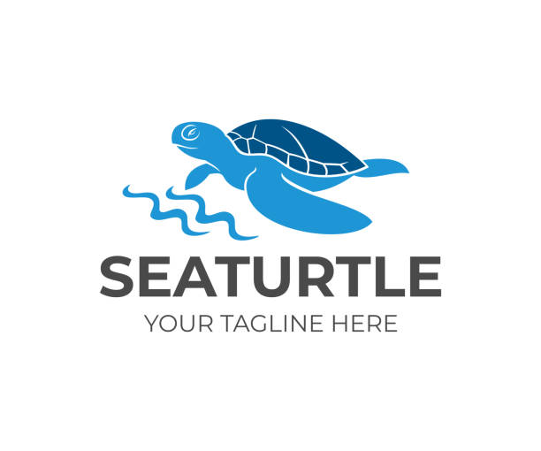 Sea turtle by the coastline and waves, icon design. Animal, wildlife, sea life and nature, vector design and illustration Sea turtle by the coastline and waves, icon design. Animal, wildlife, sea life and nature, vector design and illustration sea turtle stock illustrations