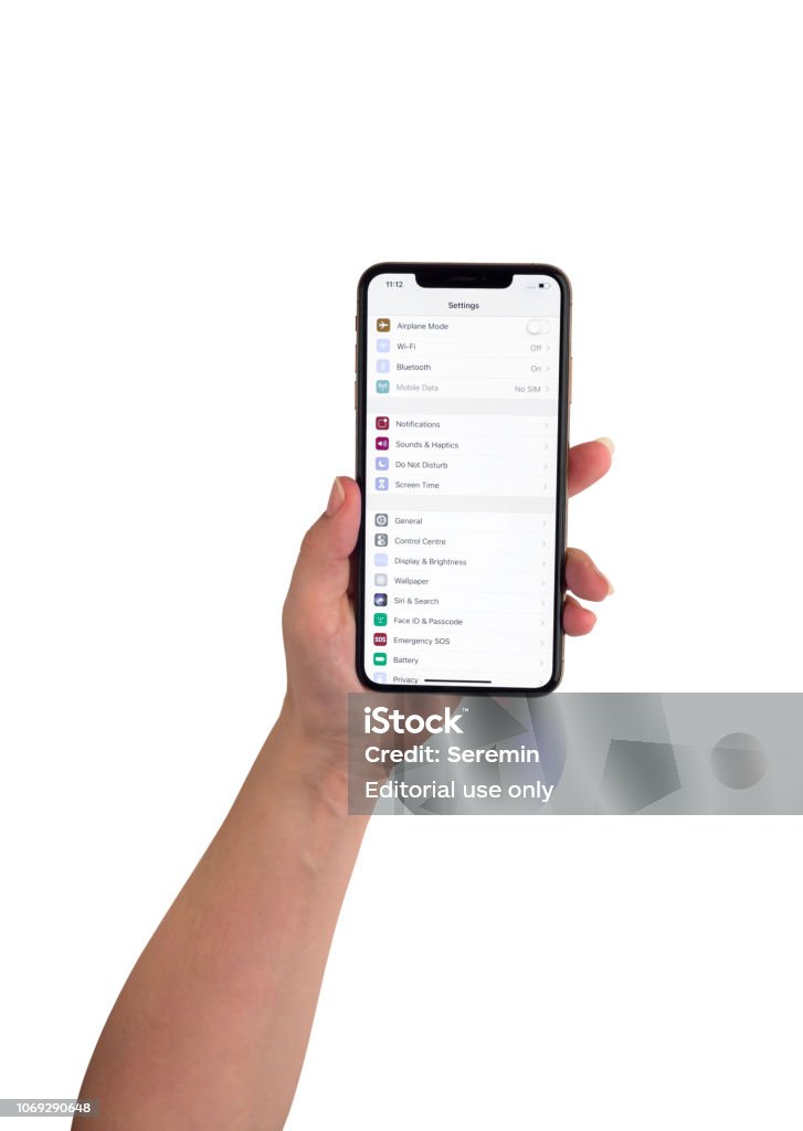 Apple Iphone Xs Max 65inch Display In Hand On A White Background Stock  Photo - Download Image Now - iStock