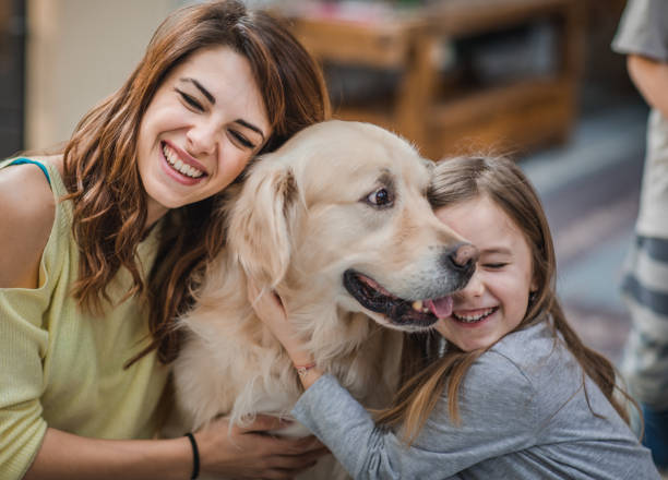 istock We love our dog very much! 1069290696