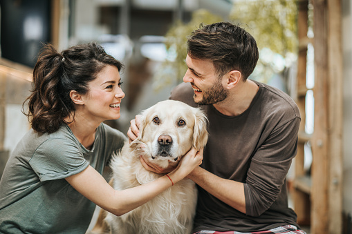 Young happy couple communicating while cuddling their golden retriever at home.