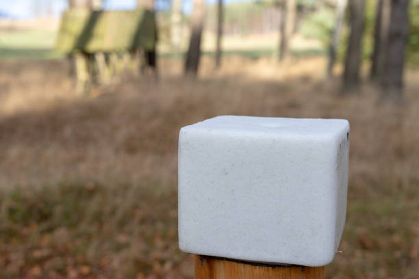 un cubo de sal preparado para animales del bosque. lick en el bosque cerca de la dehesa. temporada de otoño. - sales growth fotografías e imágenes de stock