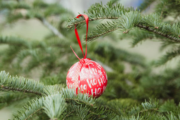 istock Red Christmas ball on green fir tree 1069293500