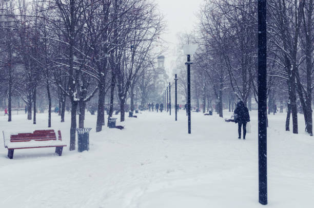 istock People walking along a city alley during a snowfall in winter 1069297022