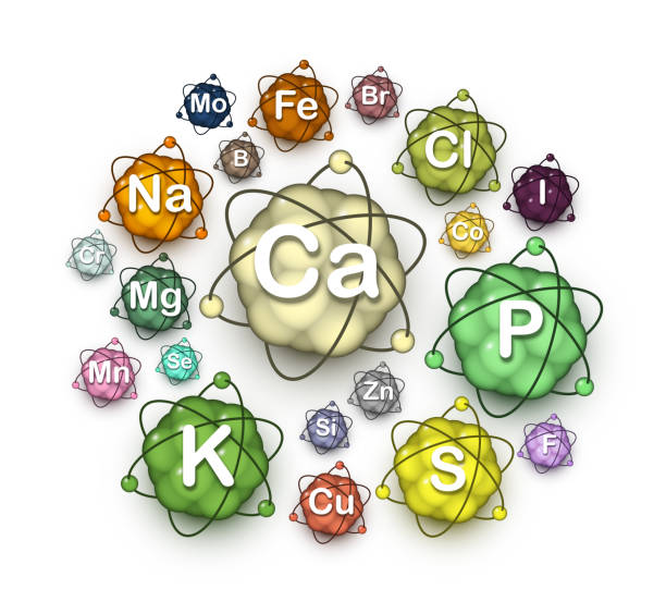 Various microelements, macroelements and minerals Various microelements, macroelements and minerals, vitally essential dietary nutrients and chemical elements for human health and beauty, atom size is proportional to the element amount in the body zinc element stock illustrations