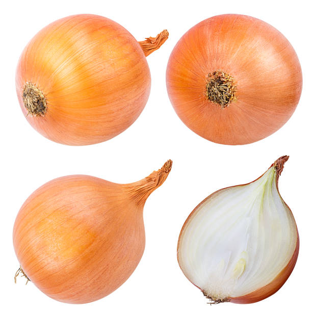 istock Onion isolated on white background with clipping path set 1069302656
