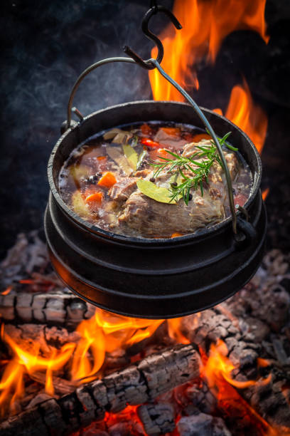 istock Delicious and fresh hunter's stew with vegetables and herbs 1069303276