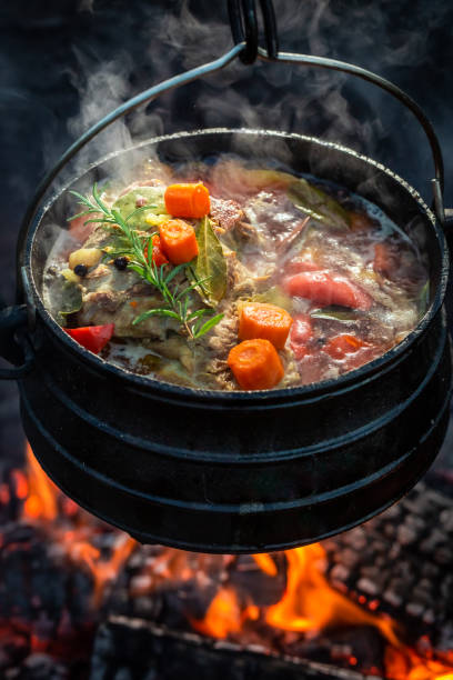 istock Delicious and fresh hunter's stew on campfire 1069304600