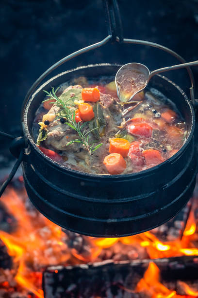 istock Tasty and homemade hunter's stew on bonfire 1069305046