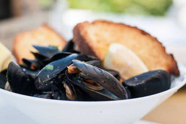 istock italian cuisine black mussels with crispy bread 1069341762