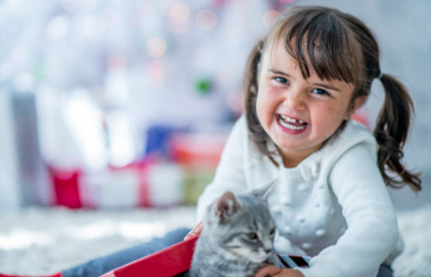 Christmas kitty A toddler laughs with excitement as she sees her Christmas gift. A tabby cat is sitting in a box in front of her. kitten gift stock pictures, royalty-free photos & images