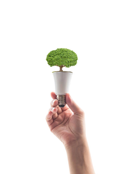 에코 친화적인 창조적인 혁신적인 기술 디자인 컨셉 아이디어에 의해 에너지를 저장 - light bulb led evolution development 뉴스 사진 이미지