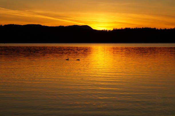 istock Sunset at the lake 11 1069383296