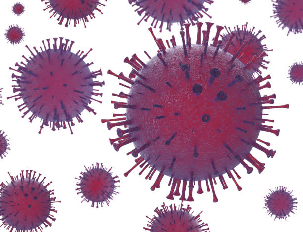 istock Herpes viruses, cytomegalovirus  in immunocompromised patients ,3D 1069385532