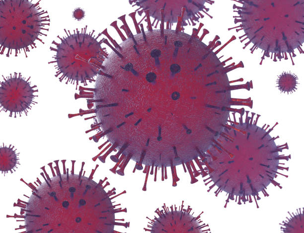 Herpes viruses, cytomegalovirus  in immunocompromised patients ,3D