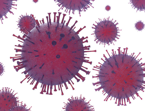 istock Herpes viruses, cytomegalovirus  in immunocompromised patients ,3D 1069385550