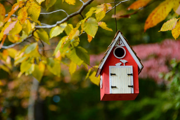 istock Red birdhouse hanging on a colorful branch 1069386800