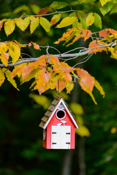 istock Red birdhouse hanging on a colorful branch 1069386872