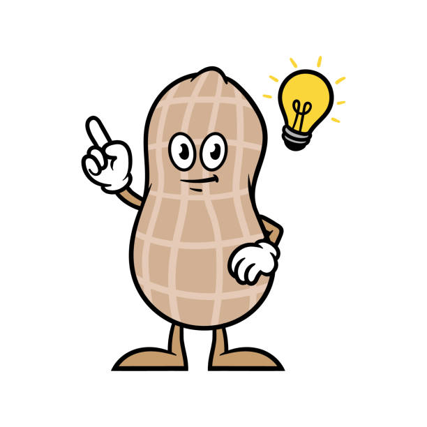 cartoon peanut charakter z pomysłem - nutshell stock illustrations