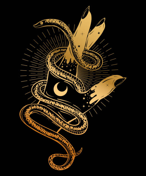 ilustrações, clipart, desenhos animados e ícones de mão com ilustração boêmio de cobra. estilo de arte da tatuagem. decorativo desenho em estilo flash tatuagem - indigenous culture flash