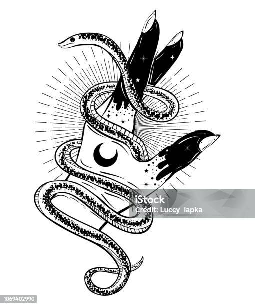 Hand With Snake Bohemian Illustration Tattoo Art Style Decorative Drawing  In Flash Tattoo Style Stock Illustration - Download Image Now - iStock