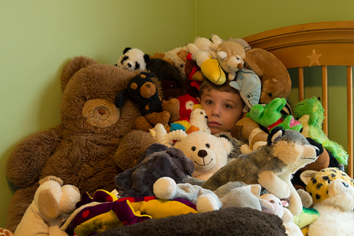 This is a sign that is boy owns too many stuffed animals.  He has piled them on top of himself and his face is barely visible in the collection.