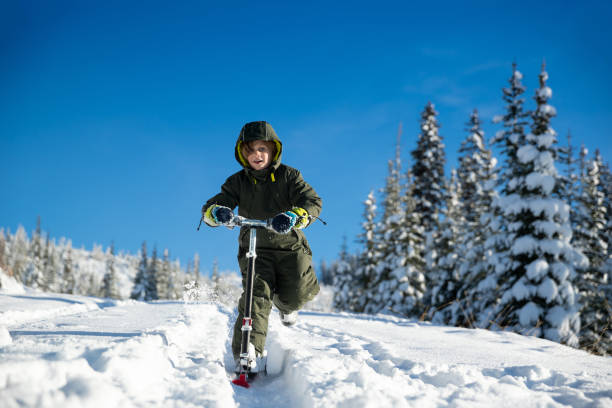 1,600+ Snow Scooter Stock Photos, Pictures & Royalty-Free 1,600+ Snow Scooter Stock Photos, Pictures & Royalty-Free