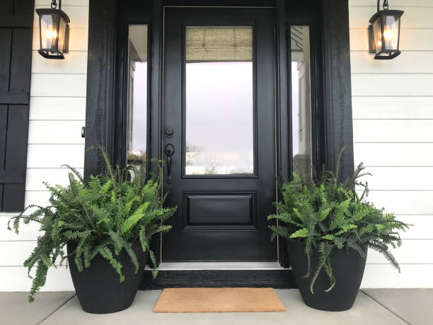 negro puerta con plantas - porch light fotografías e imágenes de stock