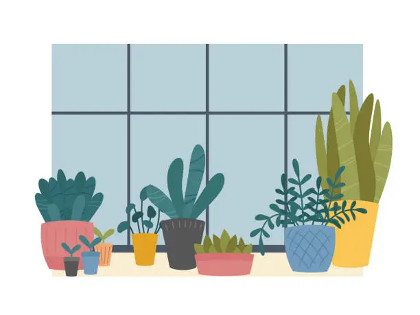 Vector illustration of Indoor home plants in pots composition standing on windowsill. Window sill with potted flowers, succulents and sprouts. Vector illustration, flat cartoon Scandinavian style