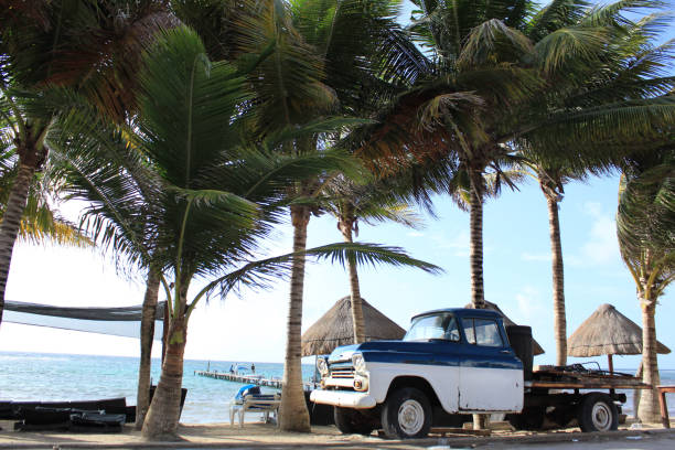 vieux camion en côte caraïbe - falmouth jamaica photos et images de collection
