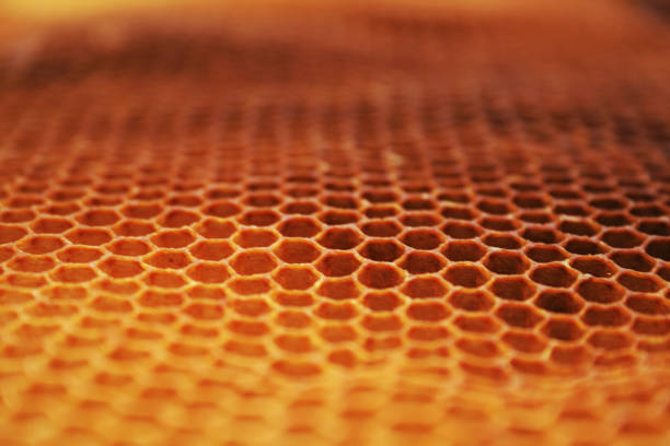 istock beeswax wirhout honey 1069465702