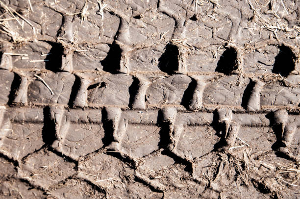 istock Picturesque dirt road. car track. Tread pattern from car tires 1069466392