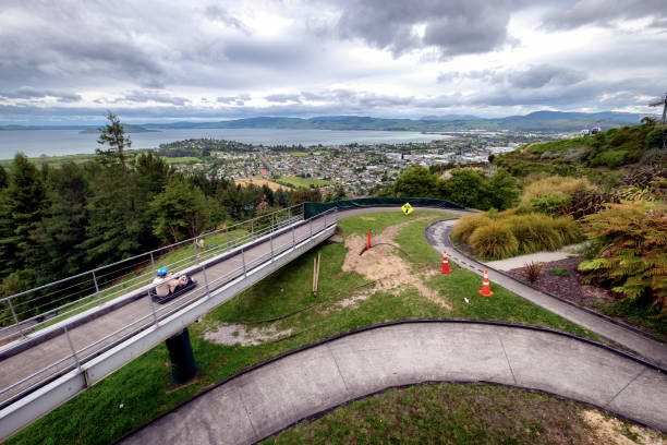 Vacation travel image of Skyline Luge in Rotorua, New Zealand NEW ZEALAND, ROTORUA - NOVEMBER 2017: Man ride on Skyline Rotorua Luge. Skyline Luge is a fun ride. This is a popular fun activity in New Zealand. It is famous among tourist, locals and people. rotorua luge stock pictures, royalty-free photos & images
