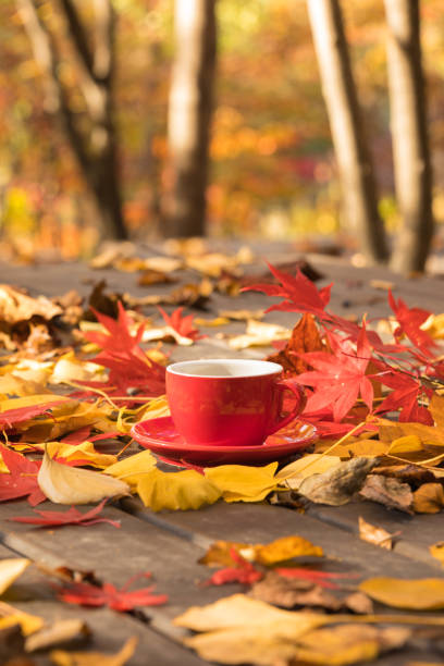istock Autumn woods and red coffee cup on wooden table top 1069471650