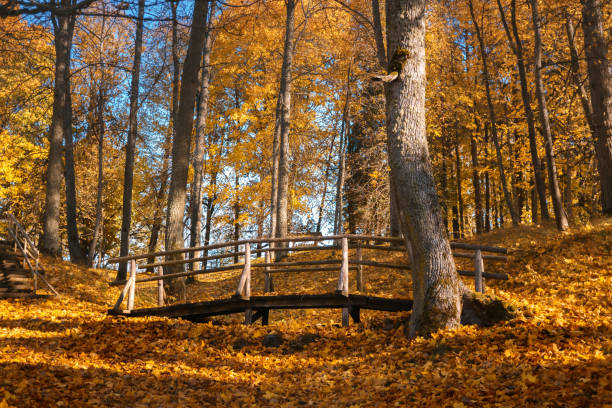 istock A wooden bridge on a sunny autumn day 1069475858