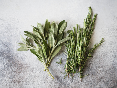 A bunch of fresh sage and rosemary on a gray background on a gray background. Top view