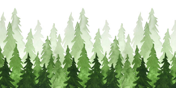 istock Watercolor green pine trees. Christmas and New Year illustration 1069477156