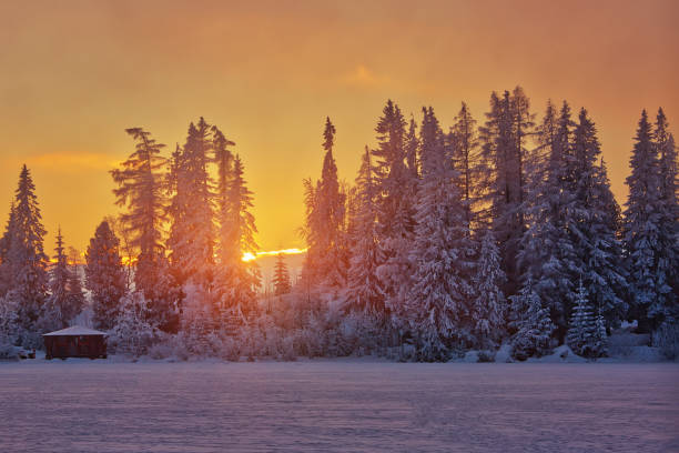 istock Winter sunset in Slovakia, sunrays through old fir trees 1069479330