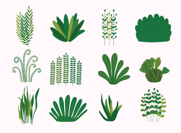zestaw roślin dekoracyjnych. zielona koncepcja. płaska ilustracja wektorowa. - cactus green environment nature stock illustrations