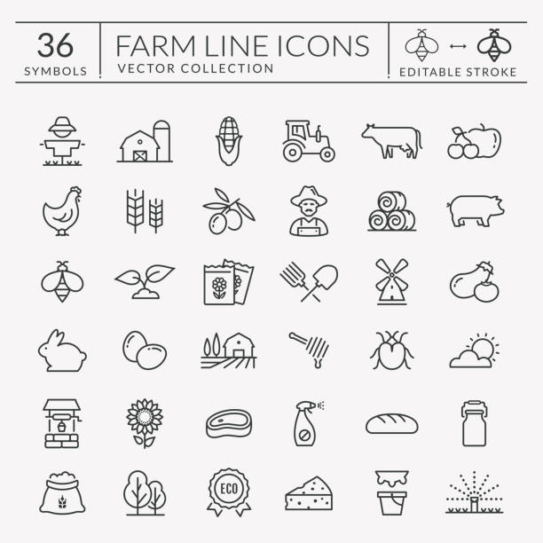 Farm and agriculture vector line icons. Editable stroke. Farming and agriculture line icon set. Vector isolated farm and countryside outline symbols: cereal crop, fruit, vegetables, dairy products, fresh meal, animals, plants, equipment. Editable stroke. meat stock illustrations
