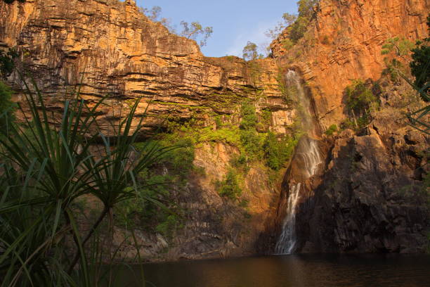 istock Tjaynera Falls in Litchfield NP in Australia 1069482148