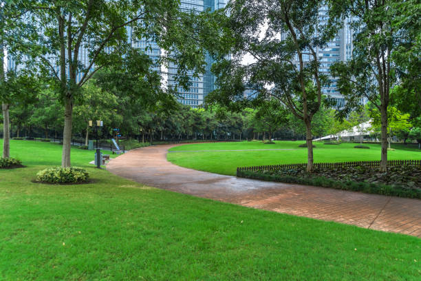 istock Beautiful park at a sunny day,shanghai,china 1069484632