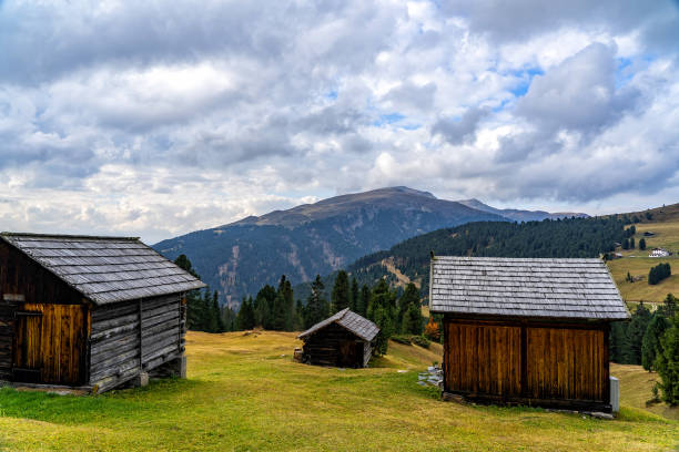 istock Wooden shed on a grassy meadow in a mountains. 1069488354